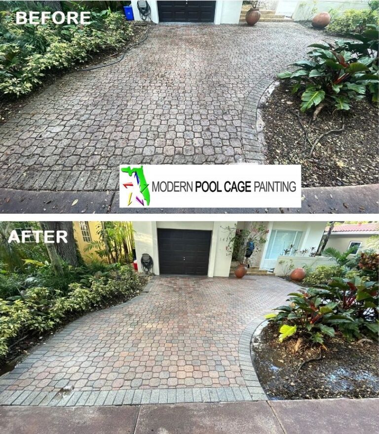 Driveway before and after cleaning